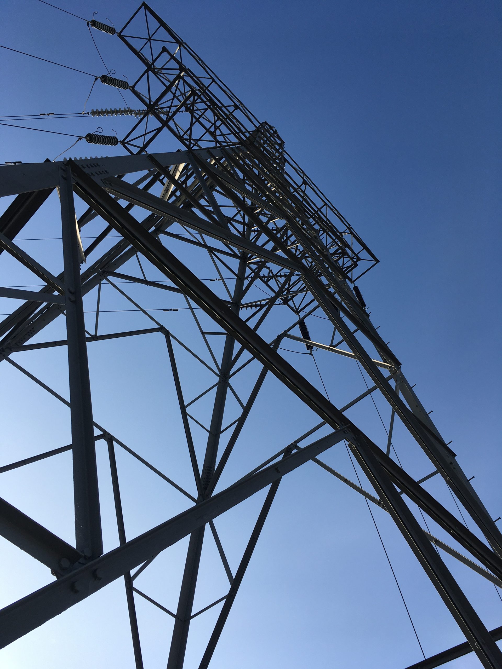 Electricity distribution utitlites
